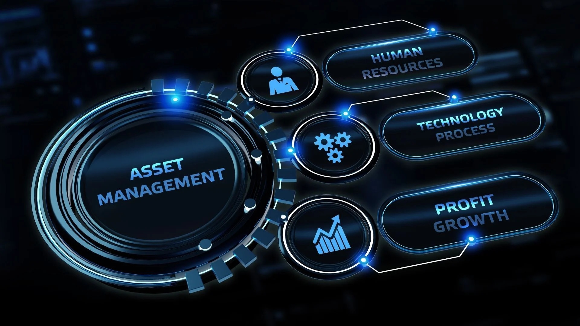 Schema di asset management: risorse umane, processi tecnologici e crescita del profitto